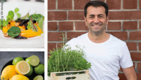 Abbildung: DK Verlag