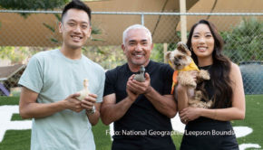 Der „Hundeflüsterer“ kann auch mit Enten umgehen. Das und vieles mehr zeigt Cesar Millan in der neuen Doku-Serie „Guter Mensch, guter Hund“, die ab heute als deutsche TV-Premiere auf National Geographic Wild zu sehen ist. (Foto: National Geographic/Leepson Bounds)