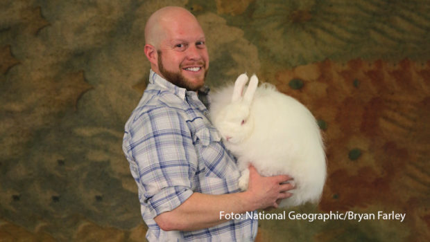 Am 6. Juli startet bei National Geographic Wild ein tierischer Wettkampf der Superlative. Die neue Dokuserie „Auf alle Felle Gold“ gewährt Einblicke in die mitunter schräge Welt der US-amerikanischen Tierwettbewerbe und die dortigen Kämpfe ums Siegespodest. (Foto: National Geographic/Bryan Farley)