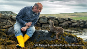 Bei National Geographic WILD steht am 28. November zur Primetime eine Premiere auf den Sendeplan. In deutscher Erstausstrahlung zeigt der Sender die Dokumentation „Billy & Molly: Eine Liebe zwischen Mensch und Otter“, die eine außergewöhnliche Freundschaft in den Fokus rückt. (Foto: National Geographic/Charlie Hamilton James)