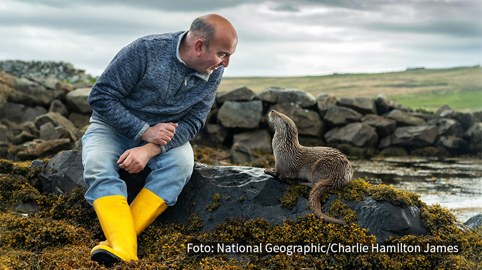 Bei National Geographic WILD steht am 28. November zur Primetime eine Premiere auf den Sendeplan. In deutscher Erstausstrahlung zeigt der Sender die Dokumentation „Billy & Molly: Eine Liebe zwischen Mensch und Otter“, die eine außergewöhnliche Freundschaft in den Fokus rückt. (Foto: National Geographic/Charlie Hamilton James)