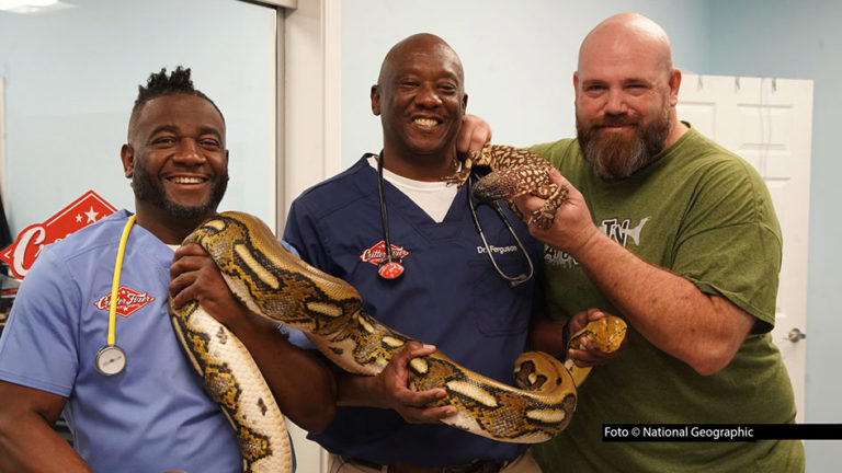 HP_Critter Fixer_411_LittleHeroes_CritterFixers_0038_f_National Geographic