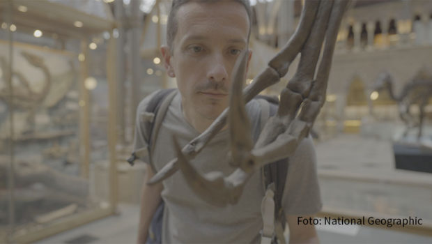 Welche Farben hatten die Dinosaurier? Wie schnell waren sie – und wie kommunizierten sie miteinander? Der italienische Paläontologe Federico Fanti beantwortet Fragen wie diese ab 24. April in der National Geographic-Serie „Der Dinosaurier-Jäger“. (Foto: National Geographic)