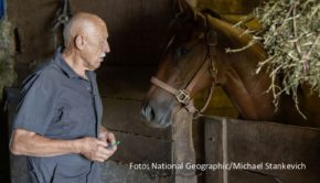Ab dem 27. September starten bei National Geographic Wild die neuen Folgen von „Der unglaubliche Dr. Pol“. In insgesamt zehn neuen Episoden warten wieder zahlreiche Abenteuer und Herausforderungen auf den Vollblut-Veterinär und sein Team aus dem US-Bundesstaat Michigan. (Foto: National Geographic/Michael Stankevich)