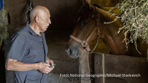 Ab dem 27. September starten bei National Geographic Wild die neuen Folgen von „Der unglaubliche Dr. Pol“. In insgesamt zehn neuen Episoden warten wieder zahlreiche Abenteuer und Herausforderungen auf den Vollblut-Veterinär und sein Team aus dem US-Bundesstaat Michigan. (Foto: National Geographic/Michael Stankevich)