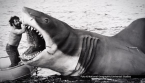 National Geographic feiert 50 Jahre „Der weiße Hai“ mit der einzigen autorisierten Dokumentation: „Der weiße Hai – Die Geschichte hinter dem Blockbuster“. Die deutsche TV-Premiere ist am 12. Juli, um 20:20 Uhr auf National Geographic zu sehen. Bereits ab dem 11. Juli ist der Film auf Disney+ verfügbar.foto_Universal-Studios_National-Geographic.