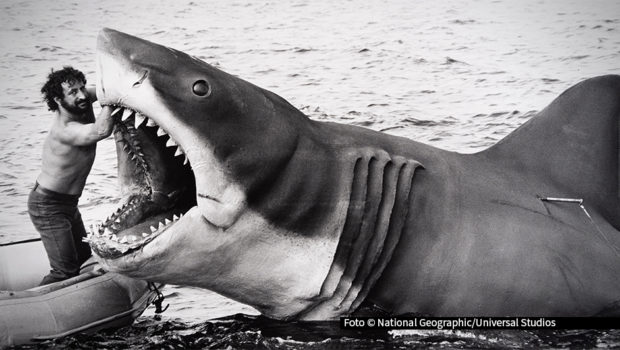 National Geographic feiert 50 Jahre „Der weiße Hai“ mit der einzigen autorisierten Dokumentation: „Der weiße Hai – Die Geschichte hinter dem Blockbuster“. Die deutsche TV-Premiere ist am 12. Juli, um 20:20 Uhr auf National Geographic zu sehen. Bereits ab dem 11. Juli ist der Film auf Disney+ verfügbar.foto_Universal-Studios_National-Geographic.