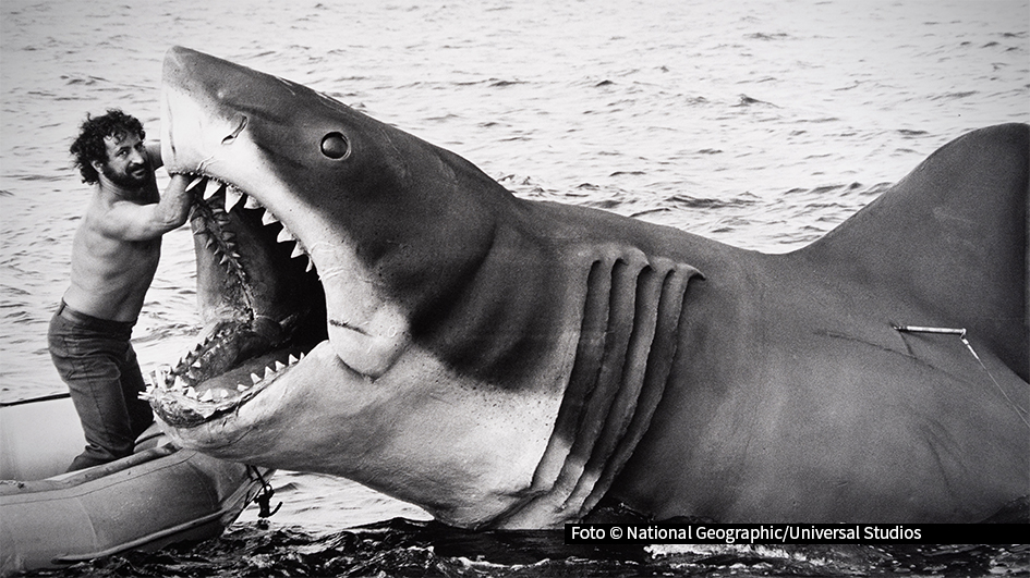 National Geographic feiert 50 Jahre „Der weiße Hai“ mit der einzigen autorisierten Dokumentation: „Der weiße Hai – Die Geschichte hinter dem Blockbuster“. Die deutsche TV-Premiere ist am 12. Juli, um 20:20 Uhr auf National Geographic zu sehen. Bereits ab dem 11. Juli ist der Film auf Disney+ verfügbar.foto_Universal-Studios_National-Geographic.