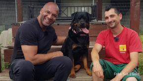 In der Tiervermittlungsshow „Haustier sucht Herz“ ist in der heutigen Ausgabe Detlef Soost zu Gast. Der Star-Choreograf besucht darin ein Berliner Tierheim. Tierpfleger Daniel Prinich stellt ihm dabei die Hündin Hilde vor – zu sehen im Programm von Sat.1 Gold. (Foto: Sat.1 Gold)