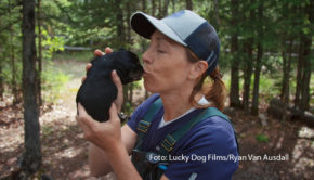 Ab dem 8. November gibt’s bei National Geographic WILD neue Folgen von „Die Yukon-Tierärztin“. Einmal mehr steht Dr. Michelle Oakley vor spannenden und außergewöhnlichen Herausforderungen, die der Veterinärin aus Leidenschaft ihr ganzes Fachwissen und Können abverlangen. (Foto: Lucky Dog Films/Ryan Van Ausdall)