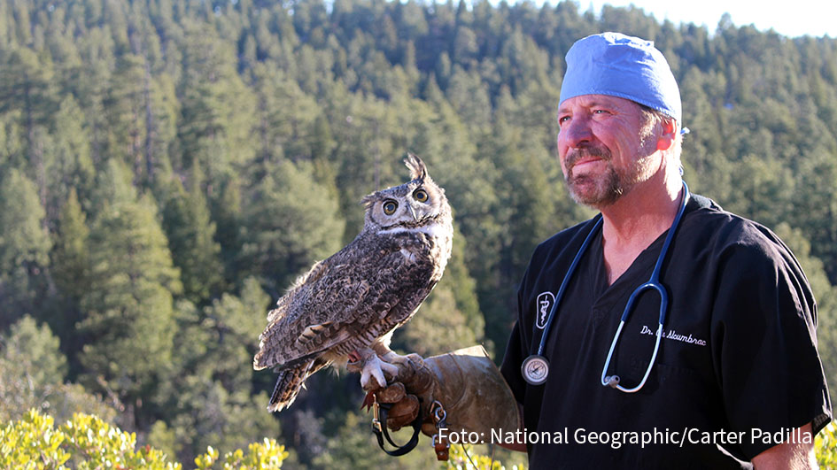 Ab dem heutigen 2. November zeigt National Geographic Wild die deutsche Erstausstrahlung von „Dr. Ole: Tierarzt im Einsatz”. Die Serie begleitet den US-amerikanischen Tierarzt Dr. Ole Alcumbrac bei seiner Arbeit in seiner Praxis und in der Wildnis von Arizona. (Foto: National Geographic/Carter Padilla)