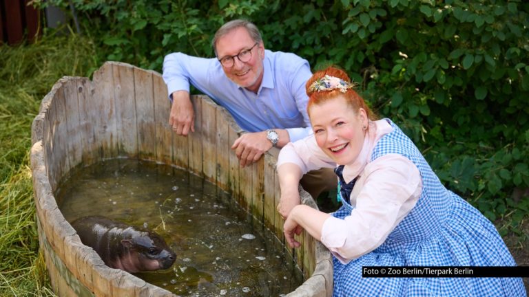 Der Berliner Zoo hat am 9. Mai Nachwuchs bekommen. Das kleine Zwergflusspferd trägt ab sofort den Namen Brötchen. Die Ehrenpatenschaft für das Jungtier übernimmt „Das große Backen“-Moderatorin Enie van de Meiklokjes.