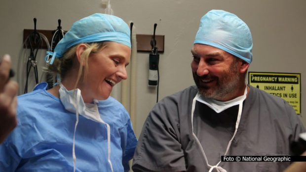 Die Veterinäre Erin und Ben Schroeder freuen sich über eine gelungene Operation. Ab dem 26. Juli gibt’s bei National Geographic WILD ein Wiedersehen mit dem sympathischen Ehepaar aus Nebraska – in Staffel 3 der Doku-Serie „Heartland Docs – Die Tierarzt-Familie“. (Foto: © National Geographic)