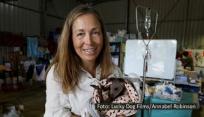 Die mittlerweile achte Staffel der Doku-Serie „Die Yukon-Tierärztin“ feiert ab dem 30. August bei National Geographic Wild ihre Deutschlandpremiere. Veterinärin Dr. Michelle Oakley und ihr Team kümmern sich wieder um tierische Patienten im Grenzland zwischen Alaska und Kanada. (Foto: Lucky Dog Films/Annabel Robinson)