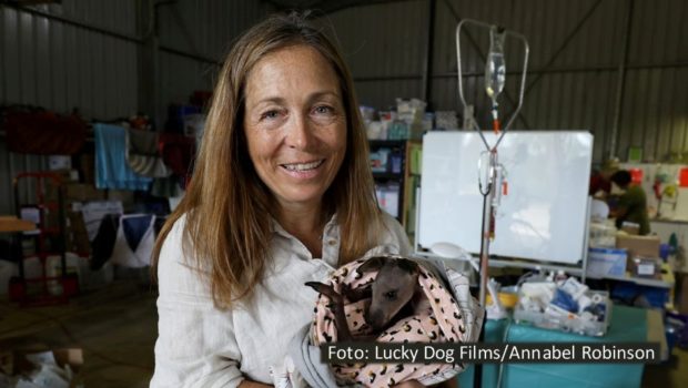 Die mittlerweile achte Staffel der Doku-Serie „Die Yukon-Tierärztin“ feiert ab dem 30. August bei National Geographic Wild ihre Deutschlandpremiere. Veterinärin Dr. Michelle Oakley und ihr Team kümmern sich wieder um tierische Patienten im Grenzland zwischen Alaska und Kanada. (Foto: Lucky Dog Films/Annabel Robinson)