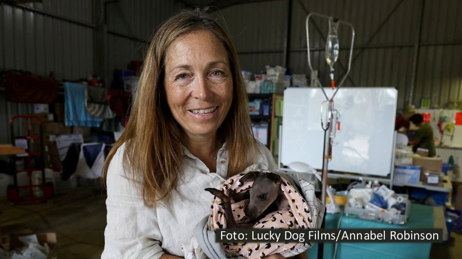 Die mittlerweile achte Staffel der Doku-Serie „Die Yukon-Tierärztin“ feiert ab dem 30. August bei National Geographic Wild ihre Deutschlandpremiere. Veterinärin Dr. Michelle Oakley und ihr Team kümmern sich wieder um tierische Patienten im Grenzland zwischen Alaska und Kanada. (Foto: Lucky Dog Films/Annabel Robinson)