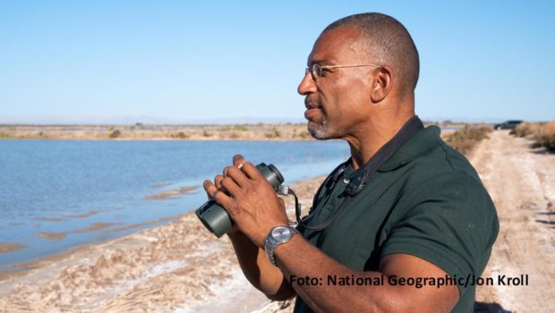 In der neuen Doku-Serie „Vogelwild mit Christian Cooper“ zeigt sich der titelgebende New Yorker Comic-Autor als passionierter Hobby-Ornithologie. Die erste von insgesamt sechs Folgen feiert am 1. Juli ihre Deutschland-Premiere bei National Geographic Wild. (Foto: National Geographic/Jon Kroll)