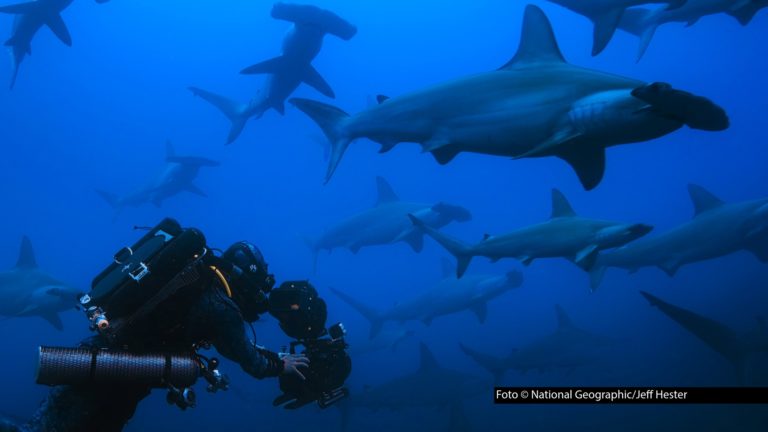 HP_Hai Life_foto_National Geographic_Jeff Hester