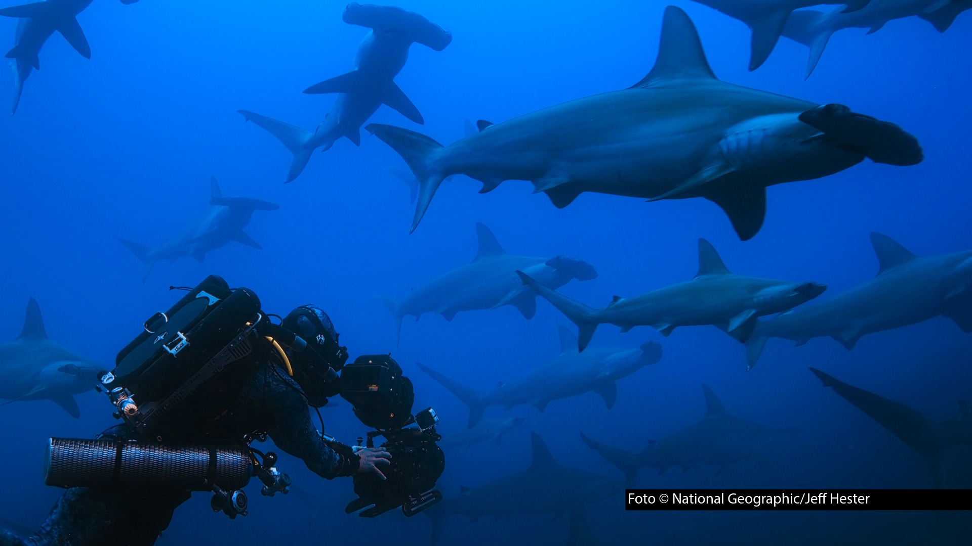 HP_Hai Life_foto_National Geographic_Jeff Hester