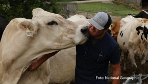 National Geographic Wild zeigt ab dem 28. Dezember die neue Dokuserie „Die Hatchers – Farm, Kühe und Doktoren“. Dabei begleitet der Sender das Leben auf einer fast 200 Jahre alten Milchfarm in den USA. Zum Betrieb der Familie Hatcher gehört nicht nur eine Molkerei, sondern auch eine eigene Tierarztpraxis. (Foto: National Geographic)