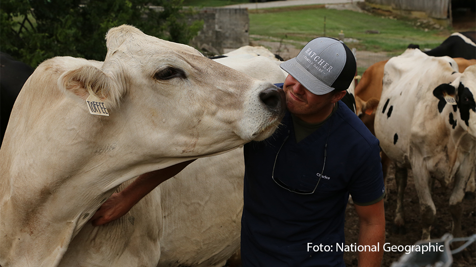 National Geographic Wild zeigt ab dem 28. Dezember die neue Dokuserie „Die Hatchers – Farm, Kühe und Doktoren“. Dabei begleitet der Sender das Leben auf einer fast 200 Jahre alten Milchfarm in den USA. Zum Betrieb der Familie Hatcher gehört nicht nur eine Molkerei, sondern auch eine eigene Tierarztpraxis. (Foto: National Geographic)