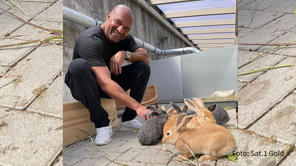 Heute widmet sich Detlef Soost in der Sat.1 Gold-Tiervermittlungsshow „Haustier sucht Herz“ dem Thema Kaninchen. Die putzigen Nager benötigen dringend ein neues Zuhause. Außerdem ist Schauspielerin Andrea Sawatzki als Tierpatin dabei. (Foto: Sat.1 Gold)
