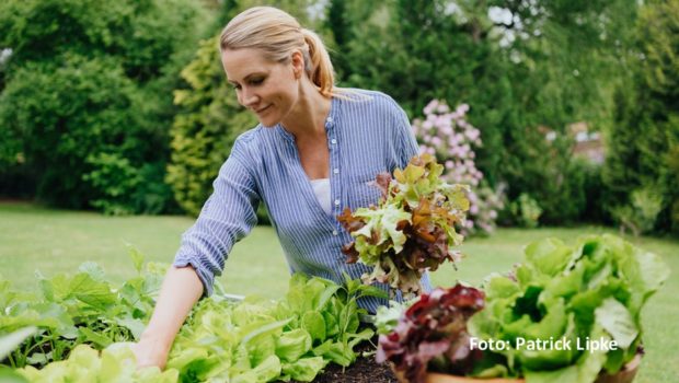 TV-Moderatorin und Journalistin Judith Rakers hat sich mittlerweile auch als ausgewiesene Expertin zum Thema „Homefarming“ etabliert. Mit ihrem gleichnamigen Online-Magazin steht sie jetzt auf der Nominiertenliste für die Goldenen Blogger, die am 29. April verliehen werden. (Foto: Patrick Lipke)