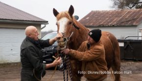 Mit dem zweiten Teil von Staffel 13 der Doku-Serie „Der unglaubliche Dr. Pol“ verabschiedet sich der beliebte Tierarzt Dr. Jan Pol vom TV-Publikum. National Geographic WILD strahlt ab dem 2. Oktober jeweils mittwochs die letzten zehn neuen Serienfolgen sowie ein Special aus. (foto: Disney/Bobby Falcon-Hart)
