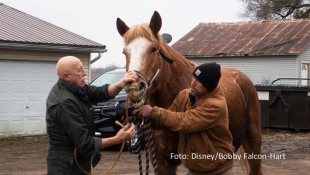Mit dem zweiten Teil von Staffel 13 der Doku-Serie „Der unglaubliche Dr. Pol“ verabschiedet sich der beliebte Tierarzt Dr. Jan Pol vom TV-Publikum. National Geographic WILD strahlt ab dem 2. Oktober jeweils mittwochs die letzten zehn neuen Serienfolgen sowie ein Special aus. (foto: Disney/Bobby Falcon-Hart)