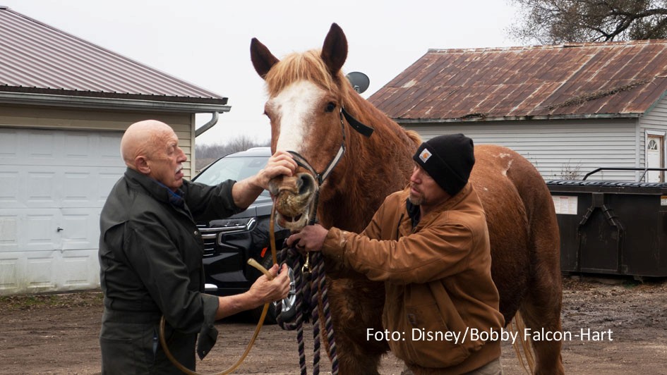 Mit dem zweiten Teil von Staffel 13 der Doku-Serie „Der unglaubliche Dr. Pol“ verabschiedet sich der beliebte Tierarzt Dr. Jan Pol vom TV-Publikum. National Geographic WILD strahlt ab dem 2. Oktober jeweils mittwochs die letzten zehn neuen Serienfolgen sowie ein Special aus. (foto: Disney/Bobby Falcon-Hart)