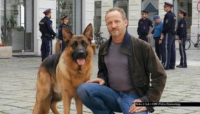 Sechs neue Fälle mit dem tierischen Ermittler „Kommissar Rex“ stehen ab dem 13. April montags in der Sat.1-Primetime auf dem Programm. Zum Auftakt müssen der Titelheld und Maximilian Brückner als menschlicher Inspektor den mysteriösen Mord an einem Gebäudemanager aufklären. Foto © Sat.1/ORF/Petro Domenigg