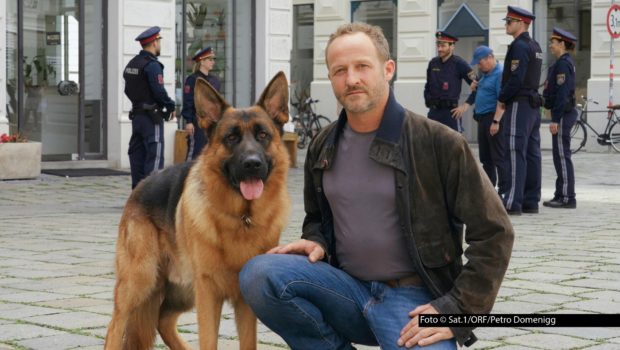 Sechs neue Fälle mit dem tierischen Ermittler „Kommissar Rex“ stehen ab dem 13. April montags in der Sat.1-Primetime auf dem Programm. Zum Auftakt müssen der Titelheld und Maximilian Brückner als menschlicher Inspektor den mysteriösen Mord an einem Gebäudemanager aufklären. Foto © Sat.1/ORF/Petro Domenigg