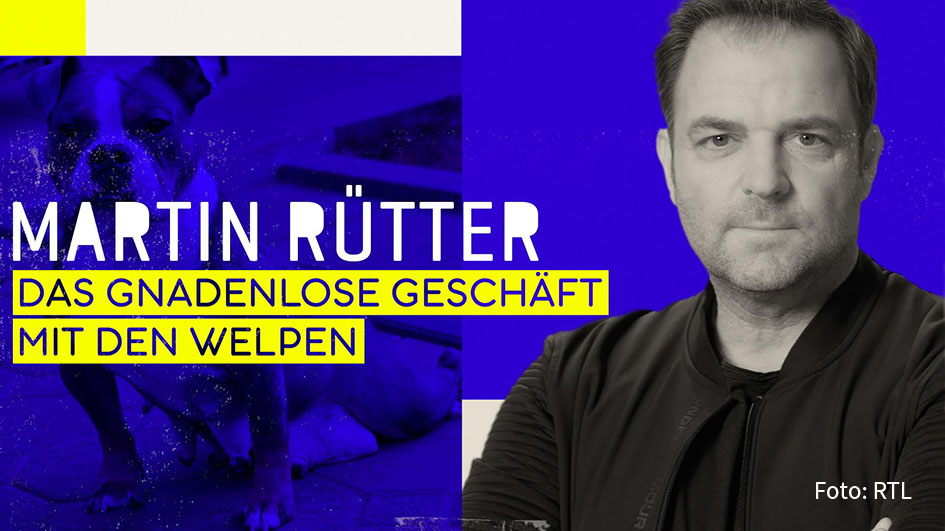 Martin Rütter - Das gnadenlose Geschäft mit den Welpen