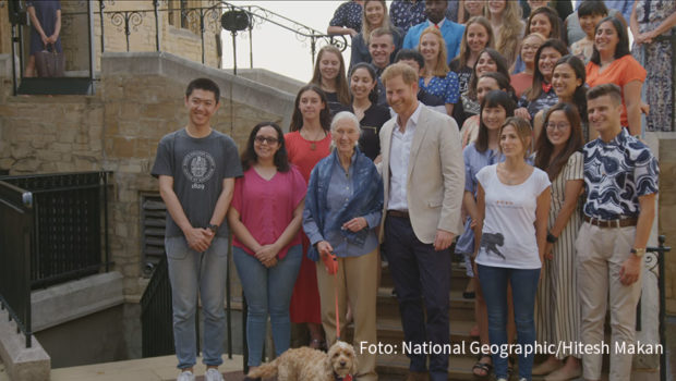 Am Samstag widmet sich National Geographic Wild Frauen, die sich in besonderer Weise für Naturschutz und Artenvielfalt einsetzen. Zu ihnen gehört auch die britische Primatenforscherin Jane Goodall. 2019 traf die Aktivistin im Zuge ihrer Arbeit u.a. Prince Harry. (Foto: National Geographic/Hitesh Makan)