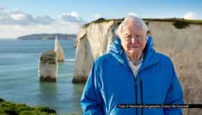 Der aufwendige Dokumentarfilm „Ozeane mit David Attenborough“ feiert am 8. Juni seine deutsche TV-Premiere bei National Geographic. Zuvor gibt‘s ab dem 8. Mai, Attenboroughs 99. Geburtstag, eine Auswertung in ausgewählten Kinos. Foto © National Geographic/Conor McDonnell