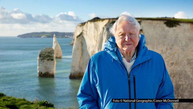 Der aufwendige Dokumentarfilm „Ozeane mit David Attenborough“ feiert am 8. Juni seine deutsche TV-Premiere bei National Geographic. Zuvor gibt‘s ab dem 8. Mai, Attenboroughs 99. Geburtstag, eine Auswertung in ausgewählten Kinos. Foto © National Geographic/Conor McDonnell