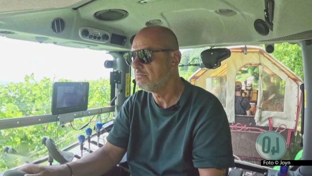 Sternekoch Frank Rosin übernimmt am 5. Juni bei Kabel Eins das Steuer – nicht nur im Trecker, sondern vorübergehend auch in der Gaststätte „Zum Ochsen“ in Eichstetten. Die Betreiber des traditionsreichen Lokals haben das Team von „Rosins Restaurants“ um Hilfe gebeten.