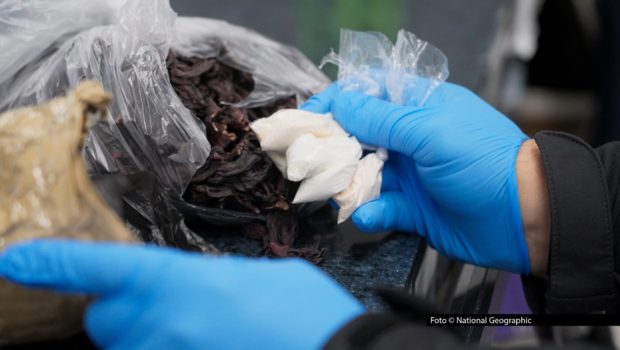 HP_Schmugglern auf der Spur_Foto_National Geographic