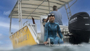 Im April begleitet National Geographic WILD die Meeresbiologin Alexandra Schnell auf ihrer Reise zu den mysteriösen Gärten der Tintenfische. In der von Oscar-Preisträger James Cameron produzierten Serie „Die geheimnisvolle Welt der Oktopusse“ macht sie klar: Oktopus ist nicht gleich Oktopus. (Foto: National Geographic/Craig Perry)