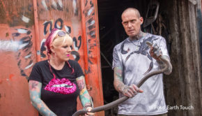 Die zehnte Staffel der Doku-Serie „Snakes in the City“ startet am 3. September auf National Geographic WILD. Ab sofort gibt‘s sofort jeden Dienstag um 20:15 Uhr neuen Missionen der südafrikanischen Schlangenretter Simon Keys, Siouxsie Gillett und ihrer Auszubildenden Mbali Mtshali. (Foto: Earth Touch)