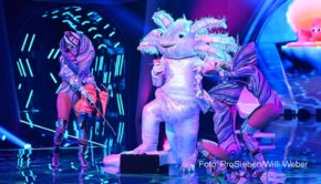 Das Halbfinale von „The Masked Singer“ läuft am 13. November auf ProSieben. Zu den sechs im Wettbewerb verbliebenen Charakteren gehört der „Axolotl“, der viel Stoff für Spekulationen um seine wahre Identität bietet. (Foto: ProSieben/Willi Weber)
