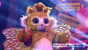 Das Plüschwesen „Goldi“ will eigentlich nicht ins Staffelfinale der ProSieben-Show „The Masked Singer“, hat aber dennoch am morgigen 29. Oktober beste Chancen. Er und vier weitere kostümierte Promis gehen in der Vorschlussrunde ins Rennen. (Foto: ProSieben/Willi Weber)