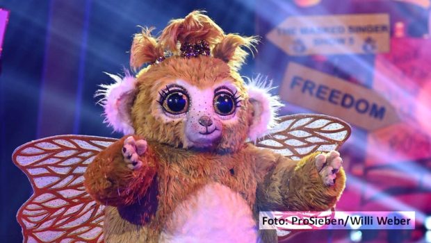 Das Plüschwesen „Goldi“ will eigentlich nicht ins Staffelfinale der ProSieben-Show „The Masked Singer“, hat aber dennoch am morgigen 29. Oktober beste Chancen. Er und vier weitere kostümierte Promis gehen in der Vorschlussrunde ins Rennen. (Foto: ProSieben/Willi Weber)