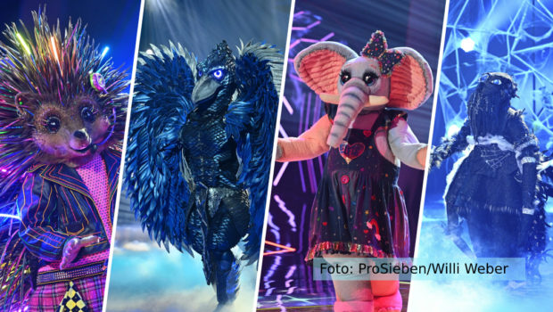 „the Masked Singer“ Die Letzten Masken Fallen