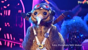 Das Rätselraten hat begonnen. Verbirgt sich in Staffel 9 von „The Masked Singer“ wirklich Schauspieler Uwe Ochsenknecht unter dem Kostüm des „Kiwi“? Sein „Männer“-Kollege Heiner Lauterbach, der am 26. November als Rateteam-Gast antritt, könnte es wissen. (Foto: ProSieben/Willi Weber)