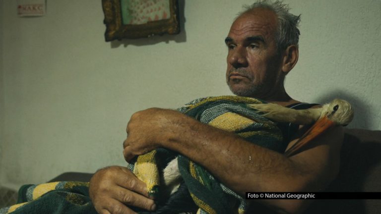 Der Sender National Geographic präsentiert am 12. Januar den preisgekrönten Dokumentarfilm „The Tale of Silyan – Der Mann und der Storch“, der von der ungewöhnlichen und berührenden Freundschaft eines Bauern mit einem verwundeten Vogel erzählt. Foto © National Geographic