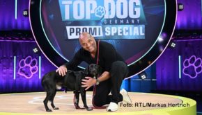Heute Abend geben Promis und ihre tierischen Lieblinge alles, um den irrwitzigen Hindernisparcours der RTL-Show „Top Dog Germany“ zu bewältigen. Choreograph Detlef Soost wird mit seinem Mischling Danser antanzen. Mit dabei sind u.a. Loona, Stefanie Hertel und Toni Polster. (Foto: RTL/Markus Hertrich)