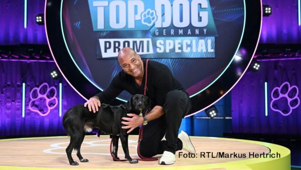 Heute Abend geben Promis und ihre tierischen Lieblinge alles, um den irrwitzigen Hindernisparcours der RTL-Show „Top Dog Germany“ zu bewältigen. Choreograph Detlef Soost wird mit seinem Mischling Danser antanzen. Mit dabei sind u.a. Loona, Stefanie Hertel und Toni Polster. (Foto: RTL/Markus Hertrich)
