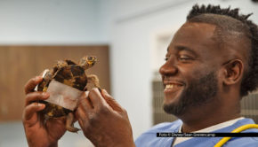Schildkröte „Boxer“ gehört zu den zahlreichen Patienten, um die sich Dr. Vernard L. Hodges und sein Kollege Dr. Terrence Ferguson in der fünften Staffel der Doku-Serie „Critter Fixer: Zwei Tierärzte für alle Felle“ kümmern. National Geographic WILD zeigt die neuen Folge als deutsche TV-Premiere. (Foto © Disney/Sean Grevencamp)