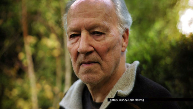 Als Regisseur, Drehbuchautor und Sprecher zeichnet Werner Herzog für „Ghost Elephants – Die Geister im Hochland Angolas“ verantwortlich. Nun ist der rund 100-minütige Dokumentarfilm erstmals im deutschen TV zu sehen: National Geographic WILD strahlt ihn am 8. März aus. Foto © Disney/Lena Herzog